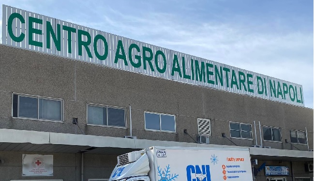 Caan Napoli